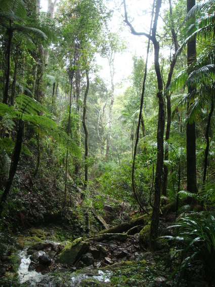 c0024579_2159272.jpg
