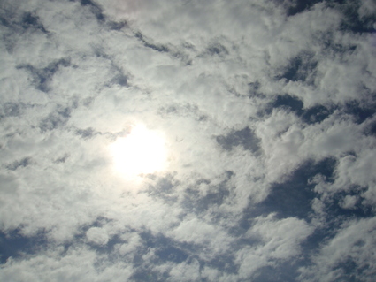c0024579_234159.jpg