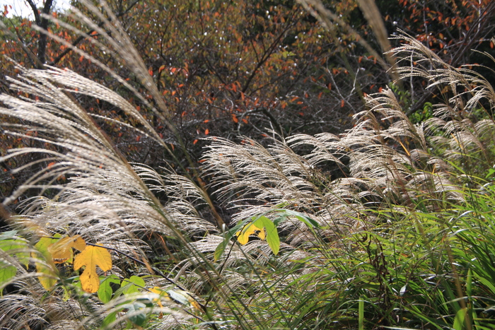 e0024081_1622079.jpg