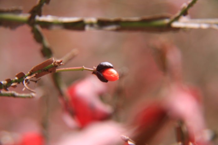 e0024081_1644967.jpg
