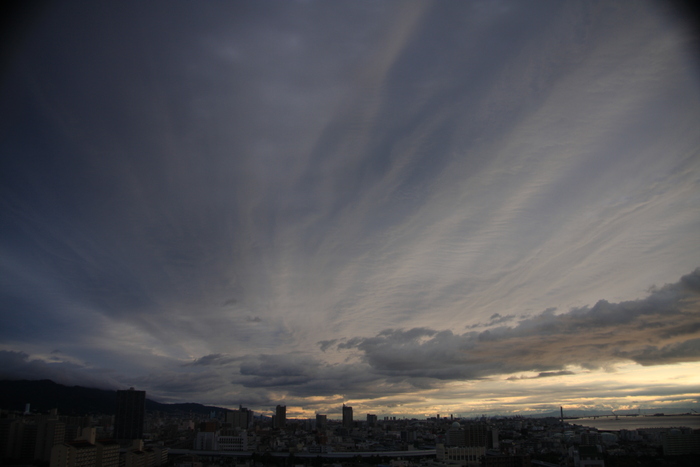 e0024081_861069.jpg