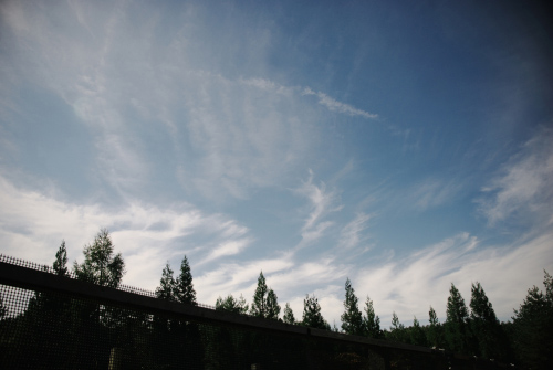 c0117383_8572393.jpg