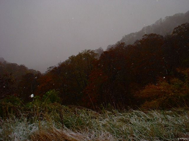 b0207491_15335839.jpg
