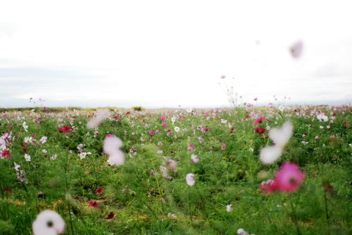 c0129498_16315891.jpg