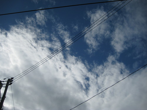 f0013998_15321518.jpg