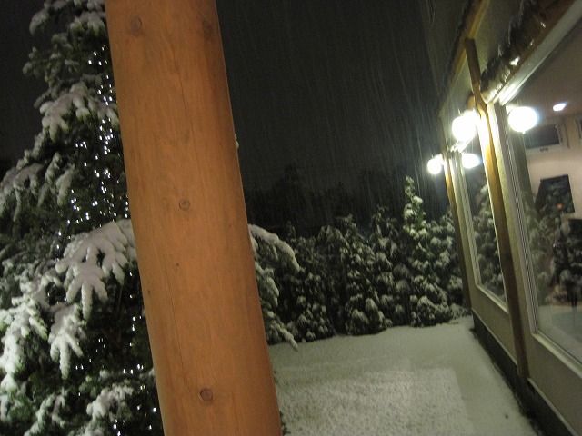 f0202703_663434.jpg