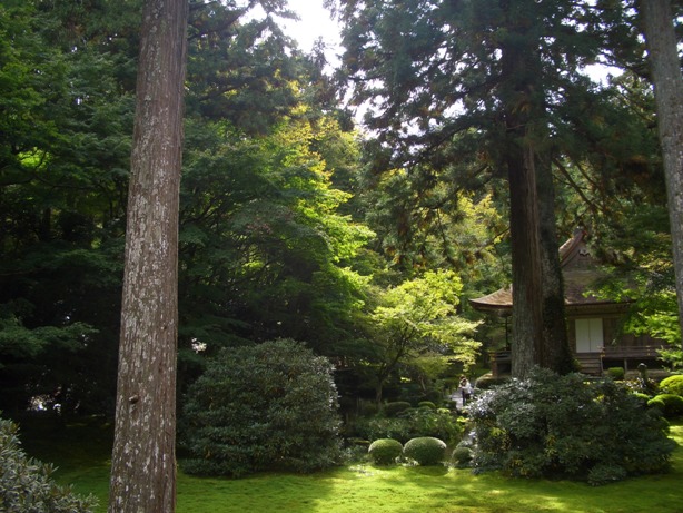 e0033713_112562.jpg