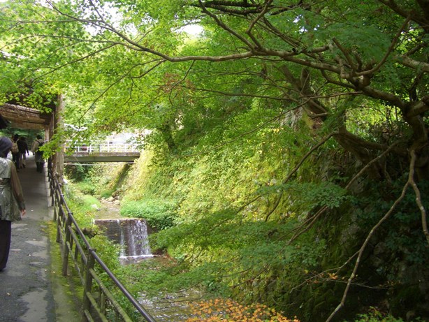 e0033713_11383119.jpg
