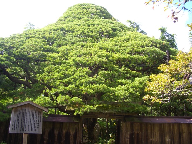 e0033713_11561422.jpg