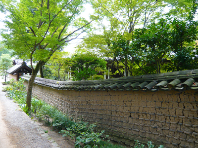 b0019820_19253561.jpg
