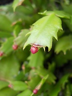 e0156222_2351944.jpg
