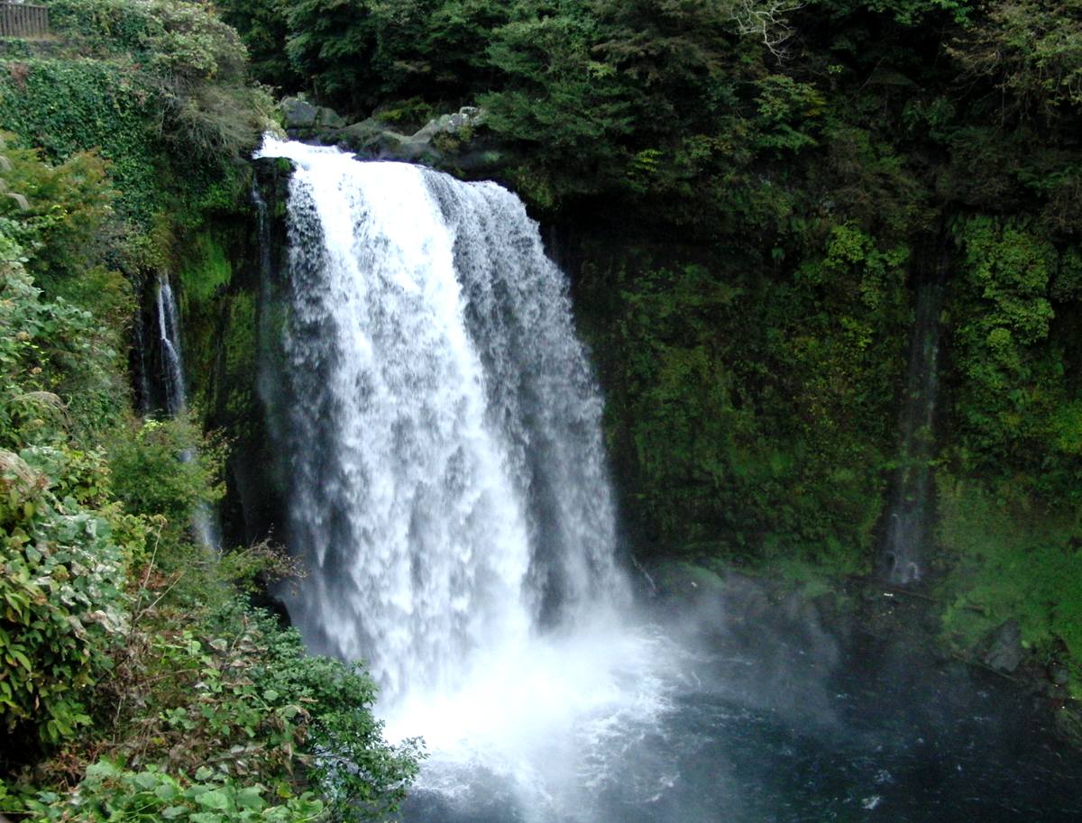 c0020725_204073.jpg