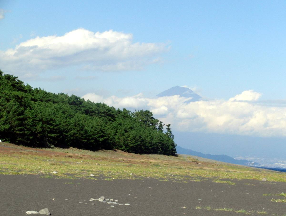 c0020725_2123629.jpg