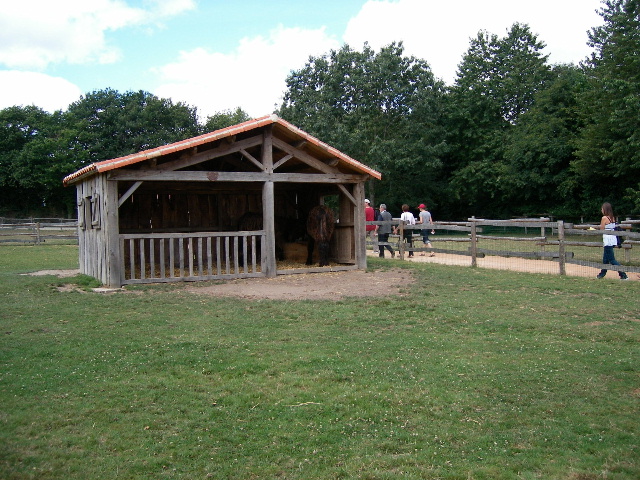 b0070127_2153740.jpg