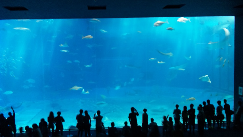 e0196028_013471.jpg