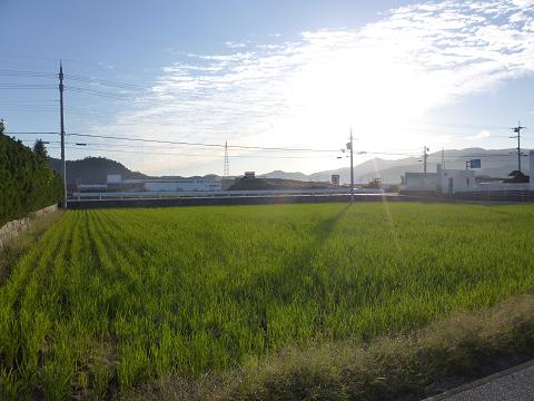 b0138430_19394353.jpg
