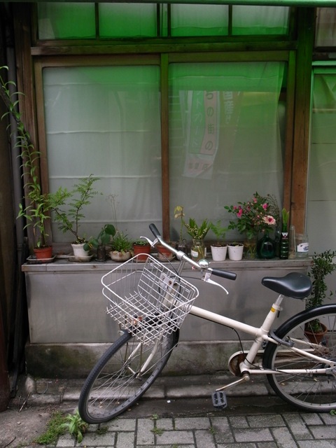 a0087341_224435.jpg