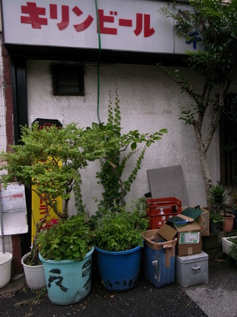 a0087341_2253526.jpg