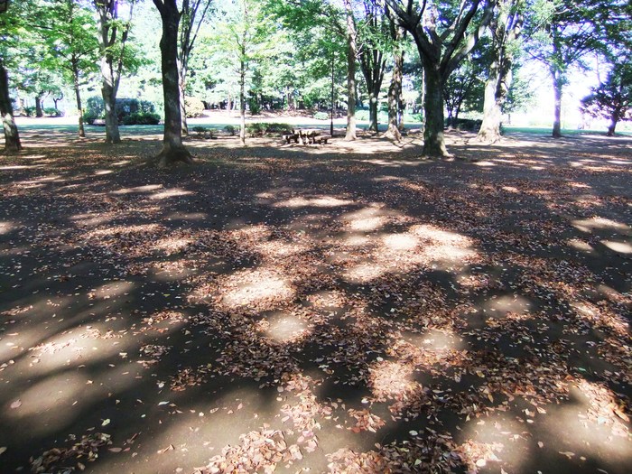 e0206242_190263.jpg