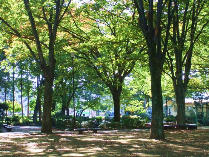 e0206242_19101225.jpg