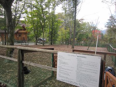 a0142343_15173214.jpg