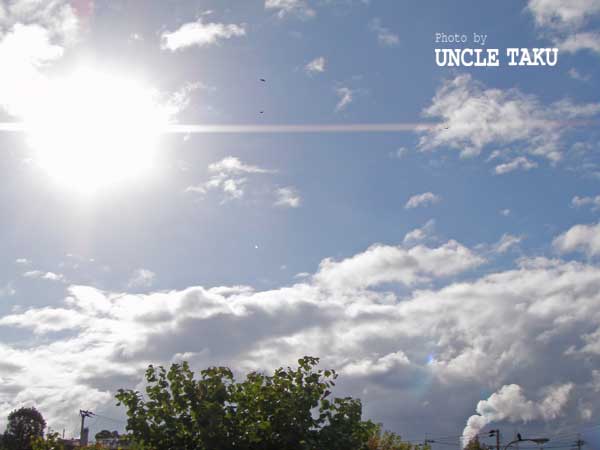 d0119443_1191418.jpg