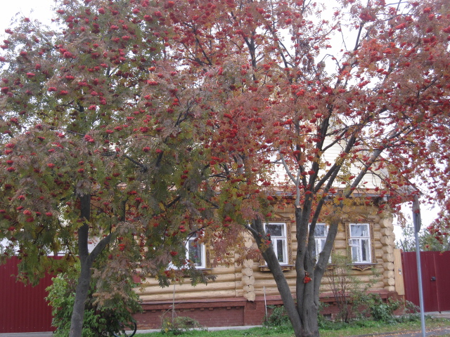c0122744_11265591.jpg