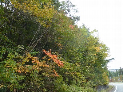 c0220047_1383260.jpg