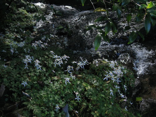 c0179351_21173930.jpg