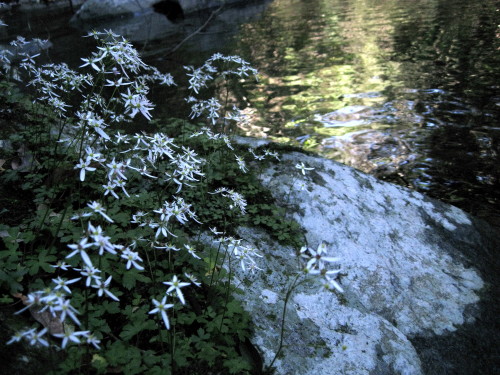c0179351_21194680.jpg