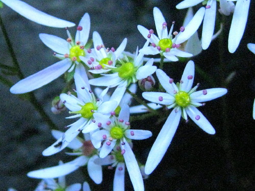 c0179351_2125523.jpg