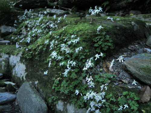 c0179351_21304463.jpg