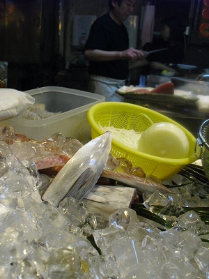 f0009451_9262120.jpg