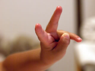 b0054956_1481438.jpg