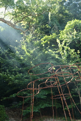 e0175258_1550238.jpg