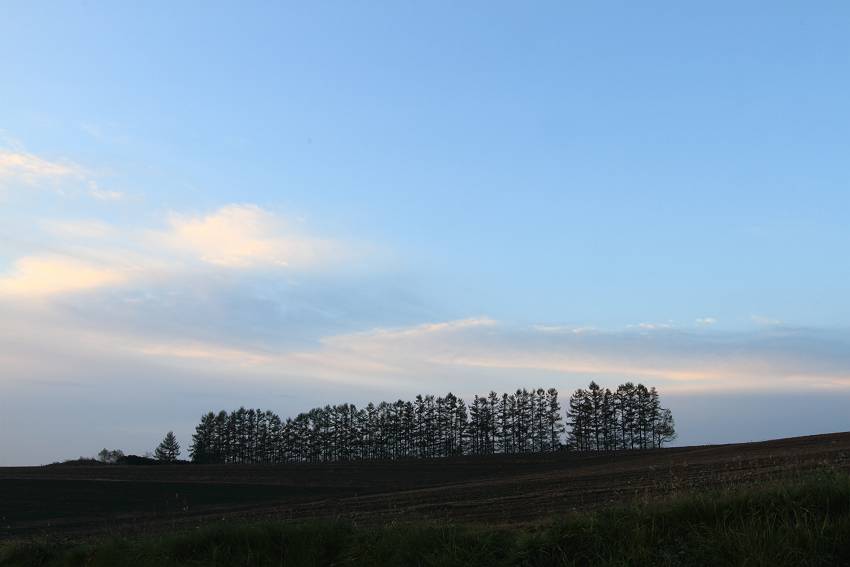 f0103860_23132563.jpg