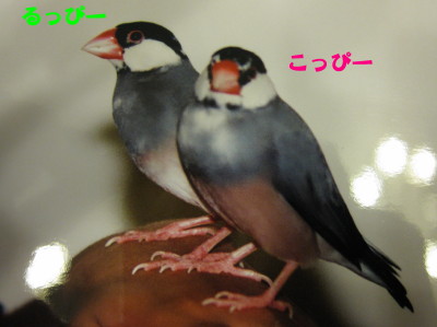 b0158061_21501050.jpg