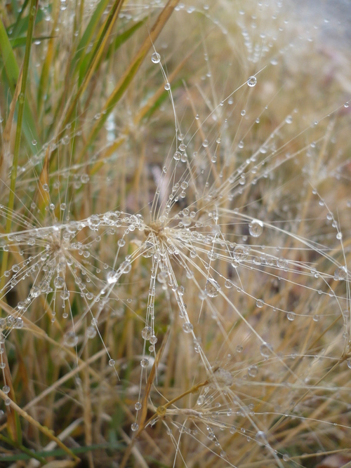 f0214562_10234977.jpg