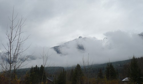 f0214562_10271611.jpg