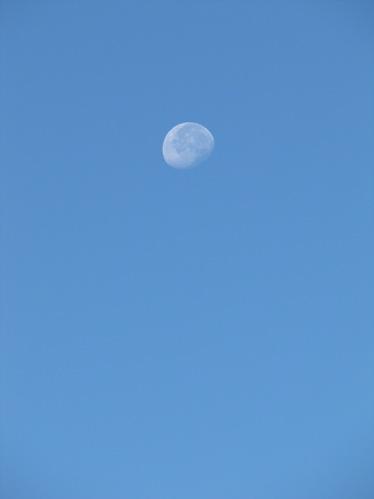 b0183566_8294618.jpg