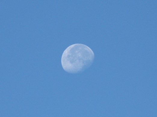 b0183566_830040.jpg