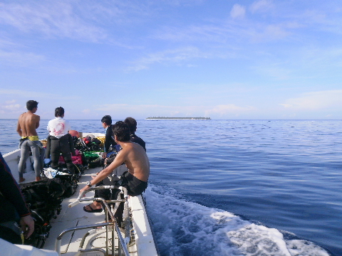 a0155467_930421.jpg