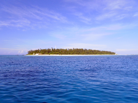 a0155467_9305329.jpg