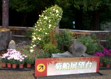 d0131668_13163554.jpg