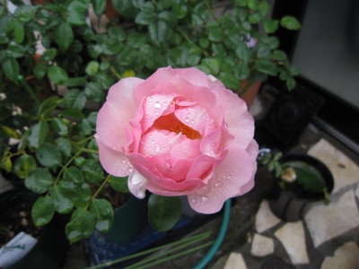 c0202870_6202924.jpg