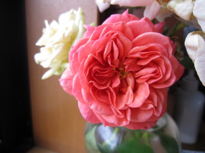 c0202870_6473335.jpg