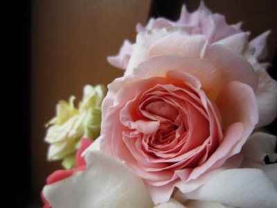 c0202870_6523658.jpg