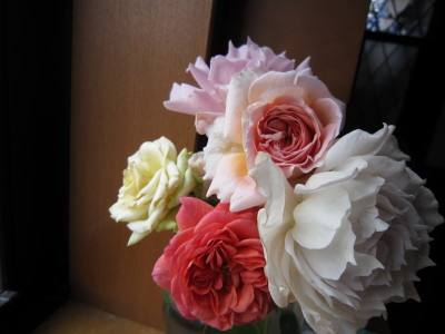 c0202870_65512.jpg