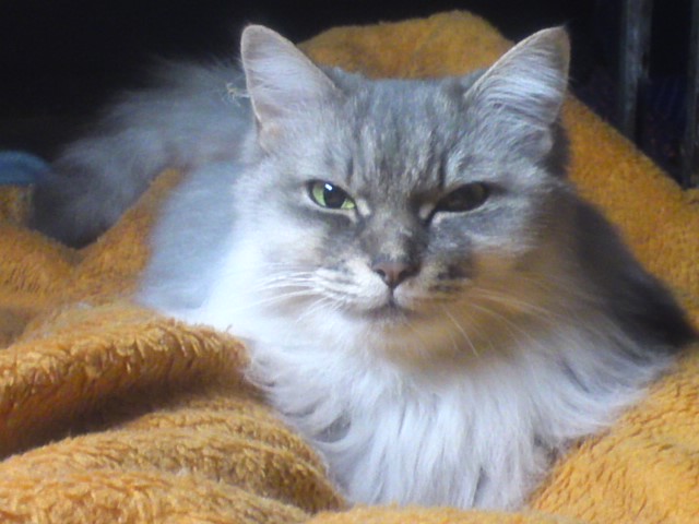 a0083474_1934278.jpg