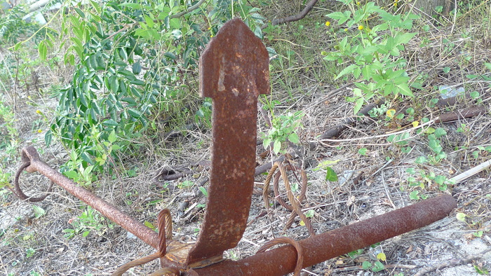 e0024081_1545612.jpg